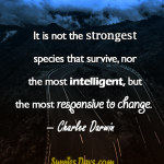 It-is-not-the-strongest-species-that-survive-nor-the-most-intelligent-but-the-most-responsive-to-change