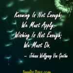 Knowing-Is-Not-Enough-We-Must-Apply.-Wishing-Is-Not-Enough-We-Must-Do
