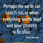 Perhaps-the-earth-can-teach-us-as-when-everything-seems-dead-and-later-proves-to-be-alive.