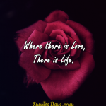 Where-there-is-Love-There-is-Life