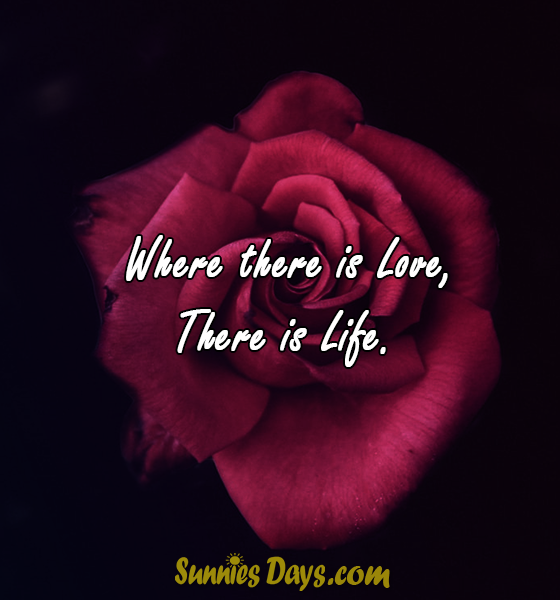 Where there is Love, There is Life.