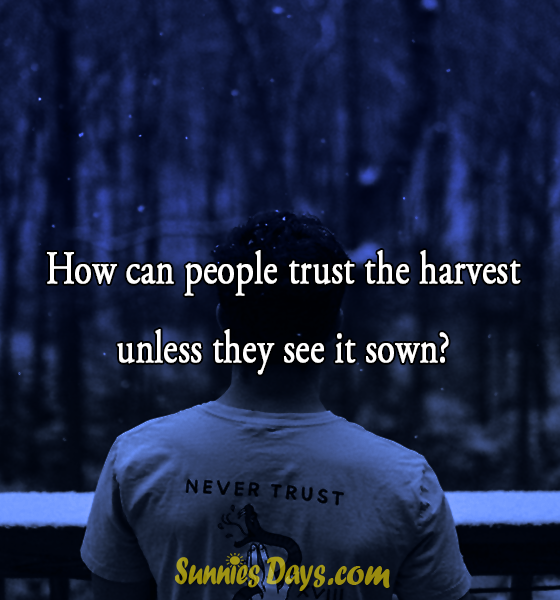 How can people trust the harvest unless they see it sown?  #trust #quote #bestof #nevertrust #people #life #saying