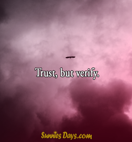 Trust, but verify. #quote #trust #confidence #people 