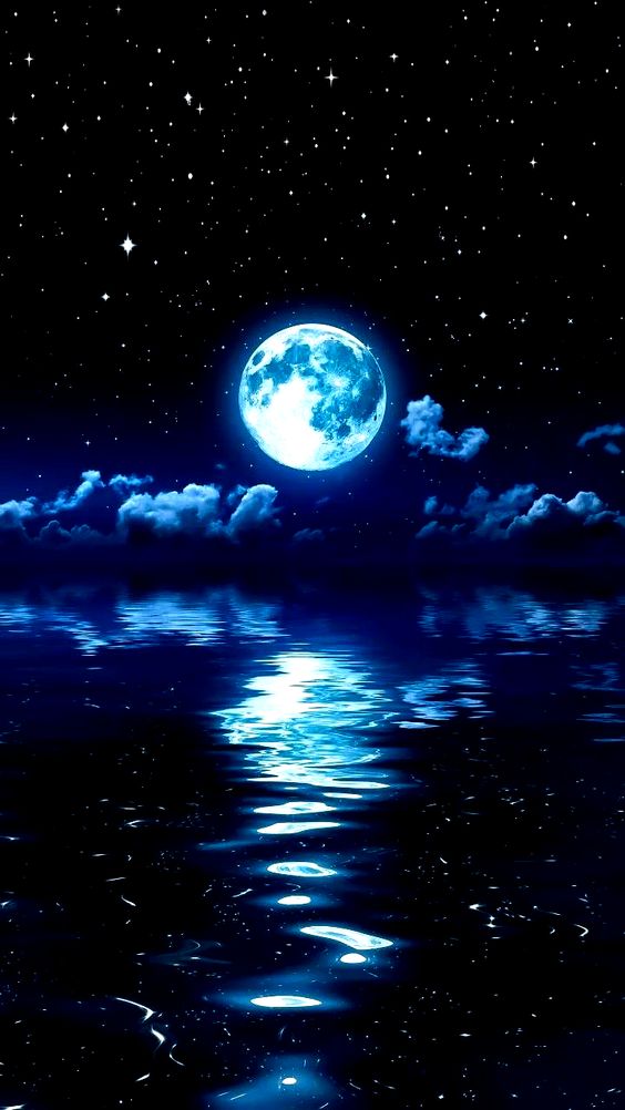 “a flower knows, when its butterfly will return,
and if the moon walks out, the sky will understand;
but now it hurts, to watch you leave so soon,
when I don't know, if you will ever come back.”
― Sanober Khan