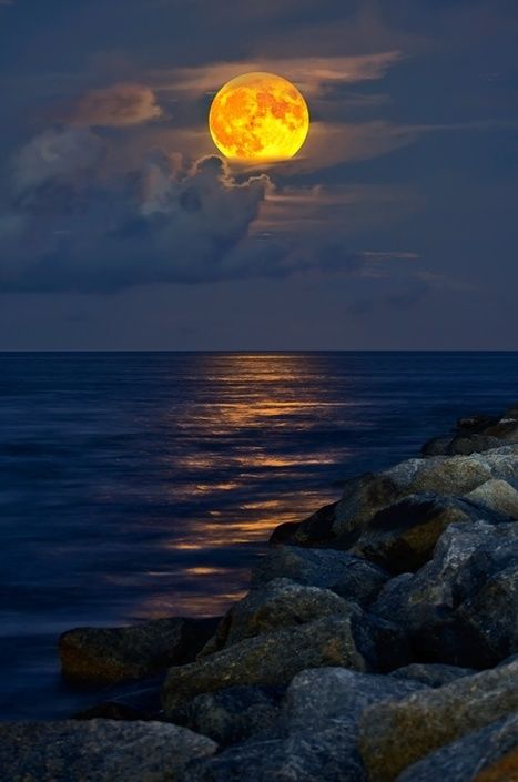 "I will never be a morning person, for the moon and I are much too in love." —Christopher Poindexter