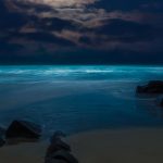 Quiet Ocean at Night Against a Shining Full Moon