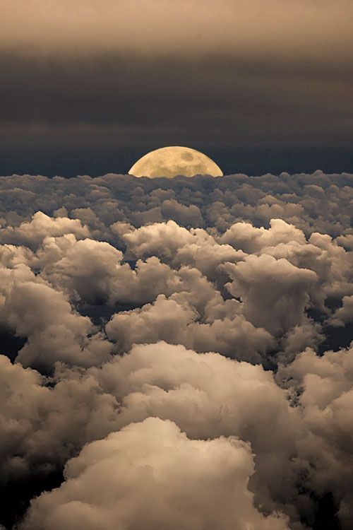 "I feel like the moon is a very beautiful woman. She's in control." —Ravyn Lenae 

#Moon #Fullmoon #Breathtaking #clouds #amazingmoon #smartphonethemes #smartphone #iphone #samsung