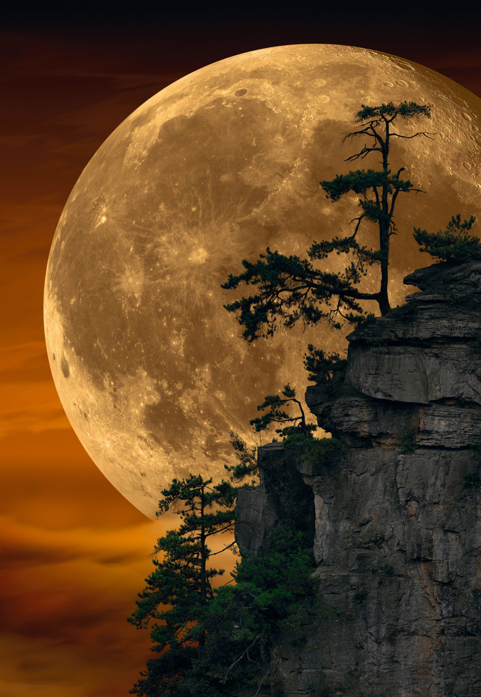 Breathtaking Moon Image that will make you think twice if it's real or not!
#moon #fullmoon #landscape #photography #phonewallpaper #Iphonethemes #themes #wallpaper #samsung #iphone #smartphone