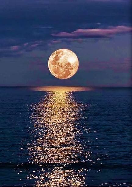 “i want to be in love with you the same way i am in love with the moon with the light shining out of its soul.”
― Sanober Khan 