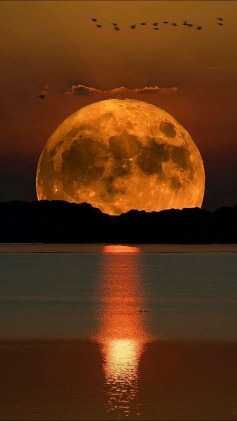 A legend says that the sun and the moon have always been in love, but that they could never be together, because the moon rises at sunset and the sun just at dawn. Thus, in His infinite goodness, God created the eclipse as proof that there is no impossible love.