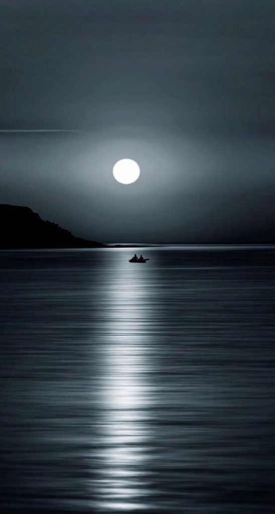 “Do not swear by the moon, for she changes constantly. then your love would also change.”
― William Shakespeare, Romeo and Juliet