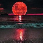 Gorgeous Blood Moon Shining over the Beach