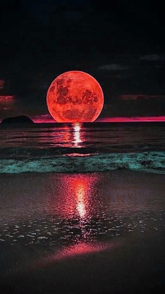 “Everyone is a moon, and has a dark side which he never shows to anybody.”
― Mark Twain