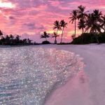 beach, gorgeous, amazingview, sunset, pink, Dreamy, Summer smartphonewallpaper, calm, sea, Iphone, Samsung, HDwallpaper