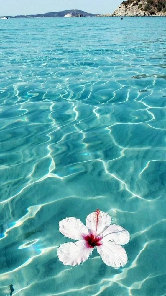 calm, ocean, blue, shiny, clear, sea, deep, breathtaking, dreamy, smartphonewallpaper, Iphone, Samsung, HDwallpaper