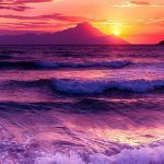 beach, gorgeous, amazingview, sunset, Dolphin, smartphonewallpaper, calm, wave, sea, Iphone, Samsung, HDwallpaper