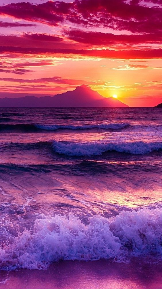 beach, gorgeous, amazingview, sunset, Dolphin, smartphonewallpaper, calm, wave, sea, Iphone, Samsung, HDwallpaper