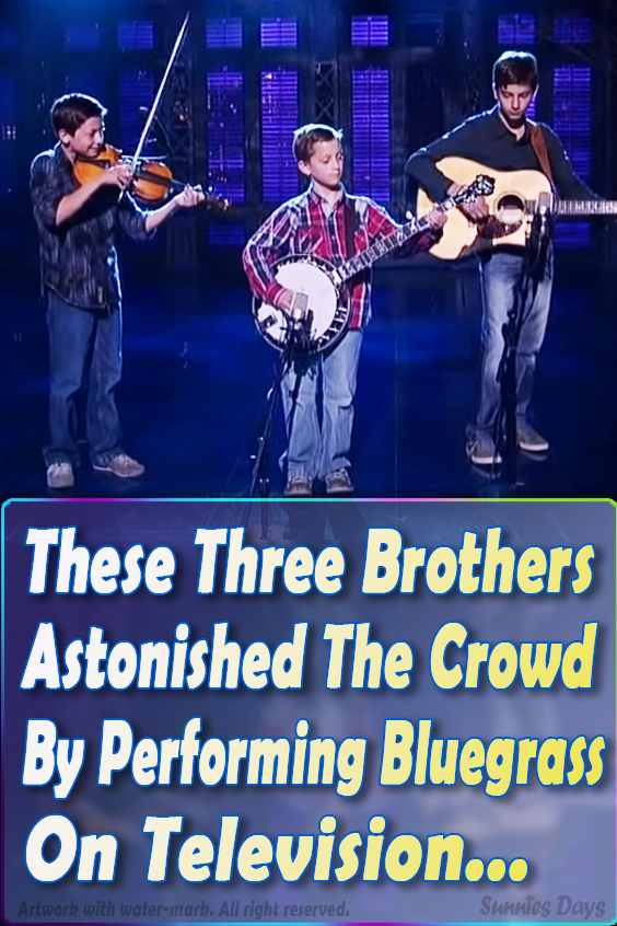 talented, gifted, kids, brothers, instruments, banjo, music, bluegrass, band, little, show, west, american, song, amazing, professional, impressive;
