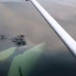 These three guys were crabbing on a tiny rowboat when they get the surprise of their lives