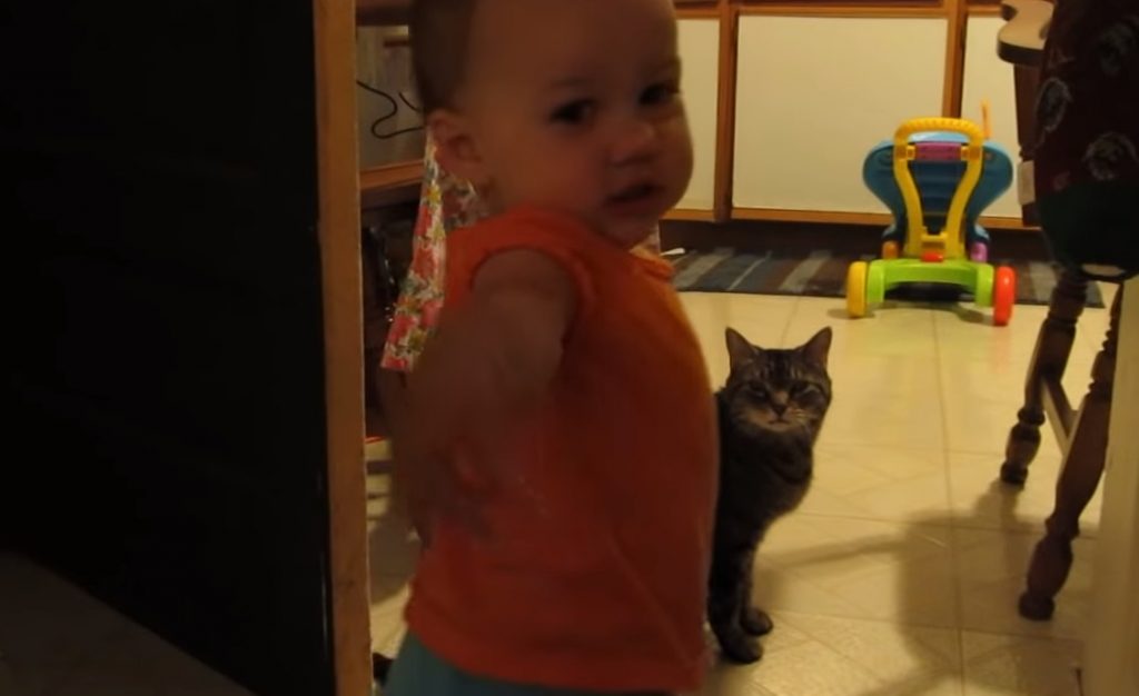 Cat, Daughter, Baby, Adorable, Morning, Hilarious,