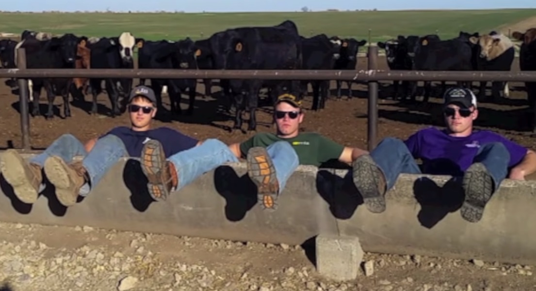 Three brothers sing a song about farmers : Sunnies Days