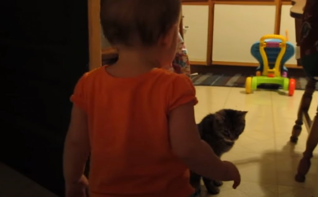 Cat, Daughter, Baby, Adorable, Morning, Hilarious,