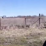 Farmer’s donation for poor kids