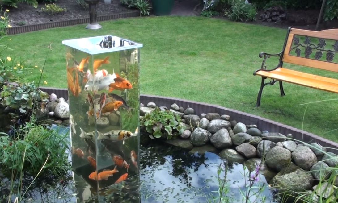 Fish, Tank, Pond, Decor, Backyard, Genius,