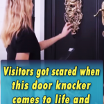 Visitors got scared of this door knocker