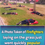 Firefighters laying on the grass after a hard mission