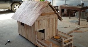 Tutorial on how to build a dog House, stylish wood-house for dogs, creative dog house, woodworking projects for pets, unique design for dog house, tutorial on how, tutorial on how you make,