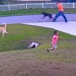 This Kid was saved by his Loyal Friend from real Danger
