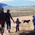 Miracles Do Happen Missing Horse returns Home after 8 Years2