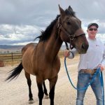 Miracles Do Happen Missing Horse returns Home after 8 Years3