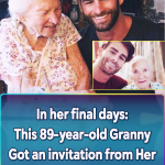 89-year-old granny got an invitation from her neighbor to live with him