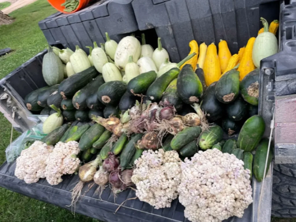 7K Pounds of Veggies