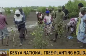 Tree planting, Environmental conservation, Sustainability, Kenya, National Tree Planting Holiday, Climate change, Biodiversity, Air quality, Community engagement, Greener future