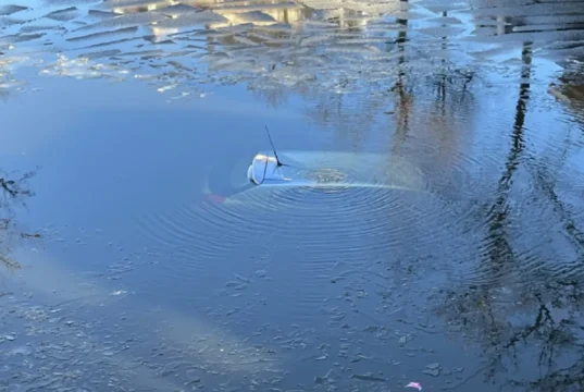 Delft, heroic rescue, icy canal, community spirit, collective courage, student hero, communal strength, Delft history, student life.