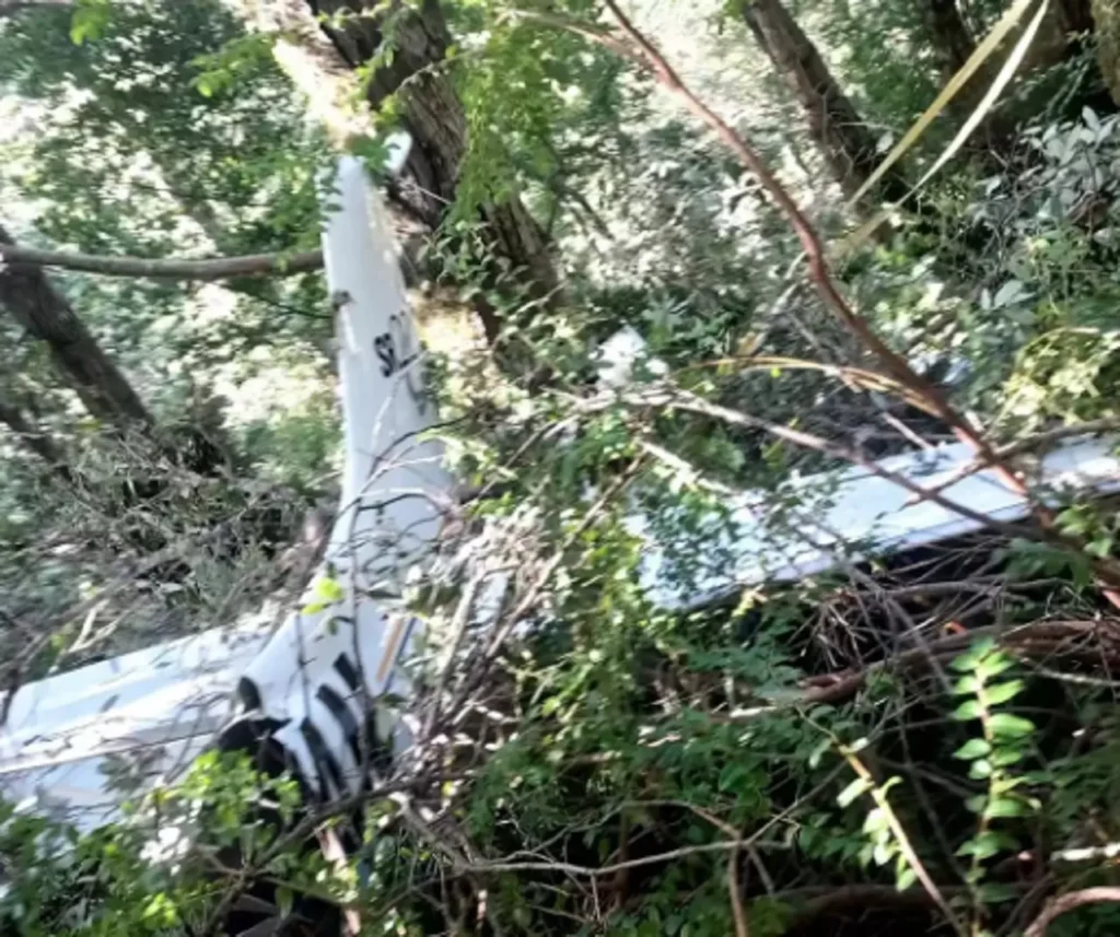 California plane crash survival, plane parachute saves family, emergency response saves family plane crash, minor plane crash Whitethorn California, Cirrus Airframe Parachute System saves lives, importance of airplane safety features, family escapes plane crash with minor injuries, Mendocino County Sheriff responds to plane crash, heartwarming story of plane crash survival, how to stay safe in a small plane