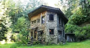 hexagon cabin Olympia, sustainable woodland retreat, tiny house design ideas, organic material cabin, eco-friendly tiny home, off-grid living cabins, enchanted woodland cabin, reclaimed wood construction, living roof tiny house, nature-inspired tiny house