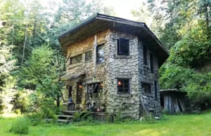 hexagon cabin Olympia, sustainable woodland retreat, tiny house design ideas, organic material cabin, eco-friendly tiny home, off-grid living cabins, enchanted woodland cabin, reclaimed wood construction, living roof tiny house, nature-inspired tiny house