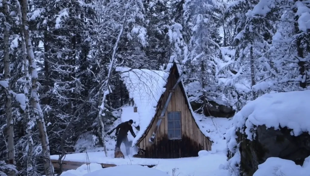 cabin building, wilderness retreat, local wood, off-grid living, sustainable cabin, self-sufficiency, DIY cabin construction, wood siding, cabin foundation