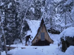 cabin building, wilderness retreat, local wood, off-grid living, sustainable cabin, self-sufficiency, DIY cabin construction, wood siding, cabin foundation