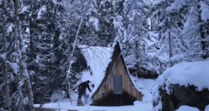 cabin building, wilderness retreat, local wood, off-grid living, sustainable cabin, self-sufficiency, DIY cabin construction, wood siding, cabin foundation