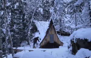 cabin building, wilderness retreat, local wood, off-grid living, sustainable cabin, self-sufficiency, DIY cabin construction, wood siding, cabin foundation