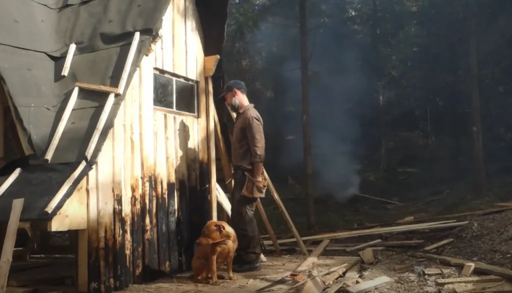 cabin building, wilderness retreat, local wood, off-grid living, sustainable cabin, self-sufficiency, DIY cabin construction, wood siding, cabin foundation