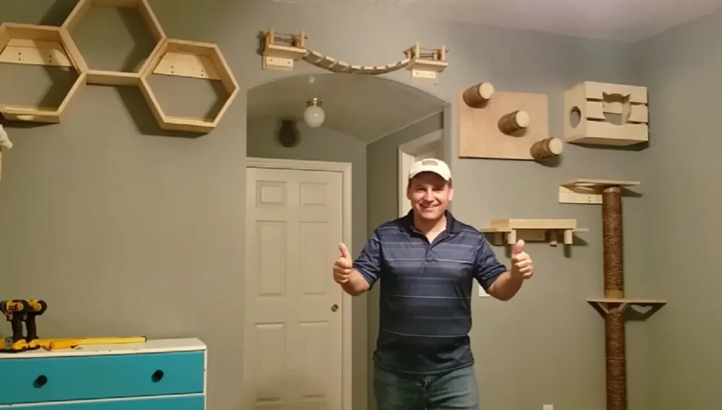 DIY indoor cat playground, indoor cat play area, how to make a cat playground, cat climbing shelves, homemade cat playground ideas, cat enrichment, cat playground tutorial, indoor pet entertainment, creative cat spaces, budget cat projects