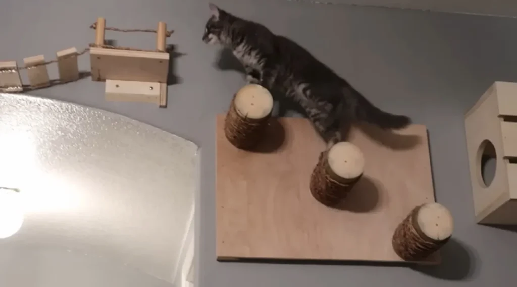 DIY indoor cat playground, indoor cat play area, how to make a cat playground, cat climbing shelves, homemade cat playground ideas, cat enrichment, cat playground tutorial, indoor pet entertainment, creative cat spaces, budget cat projects