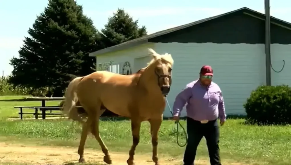 Nebraska hero, saved baby on horseback, roping contestant hero, Heroes Game story, Merrick County Fair rescue, heroic actions, baby saved in hot car