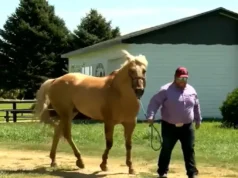 Nebraska hero, saved baby on horseback, roping contestant hero, Heroes Game story, Merrick County Fair rescue, heroic actions, baby saved in hot car